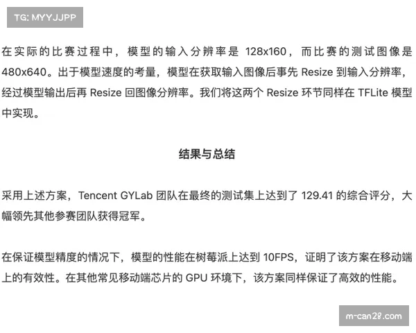 里尔vs洛里昂，主场优势或成比赛关键