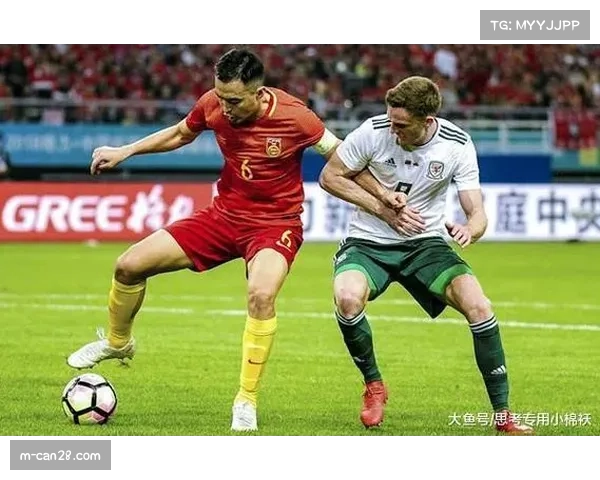 多位退役球员执教青训体系，专业经验反哺中国篮球人才储备（综合行业趋势）